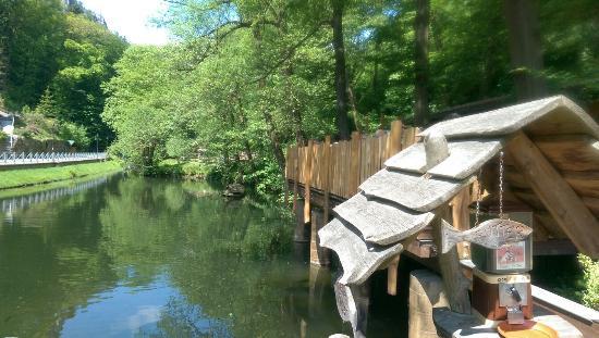 Forellenräucherei Rathen